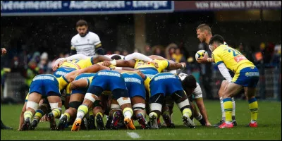 Lequel de ces mots est un des noms vulgaires du rouge-gorge ?