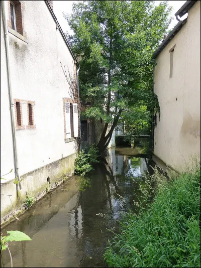 Où voyez-vous une variété de raisin ?