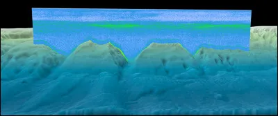 Lequel de ces mots est le nom vulgaire du canard milouin ?