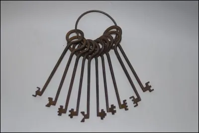 Quel oiseau était un foudi-jaca ?