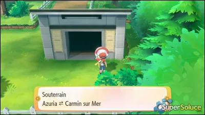 Qui est le champion dArène de Carmin sur Mer ?