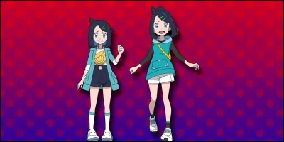 Qui est le partenaire de Liko ?