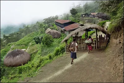 La Nouvelle-Guinée occidentale, comme son nom le suggère n'est qu'une moitié de la Nouvelle-Guinée. Avec quel pays l'Indonésie partage-t-elle cette île ?