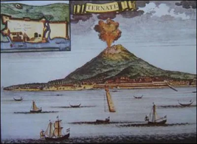 Comment se nomme le grand archipel indonésien situé dans l'est du pays et particulièrement connu pour ses épices. Au nord de cet archipel, on retrouve l'île volcan de Ternate où le Gamalama culmine à 1 715m.