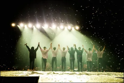 On toffre un billet pour un concert de Stray Kids mais tu dois choisir où tu être placée. Tu prends :