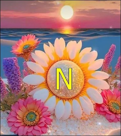 Nouméa : dans quel océan est-elle située ?