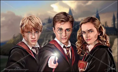 Dans quel livre de J.K. Rowling suit on les aventures de Harry et de ses amis Ron et Hermione à l'école des sorciers à Poudlard ?