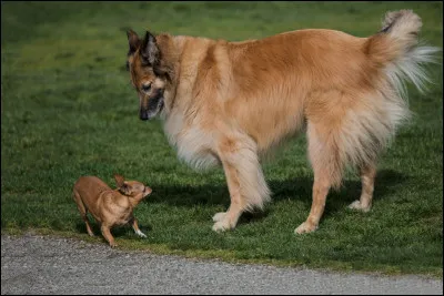 Tu pr&eacute;f&egrave;res...