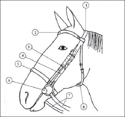 Que représente le numéro 2 sur l'image ?