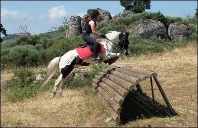 Quelles qualités sont importantes pour un cavalier souhaitant progresser au Galop 4 ?