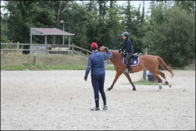 Lors dune séance de saut dobstacles, quelles sont les règles de sécurité essentielles à respecter ?