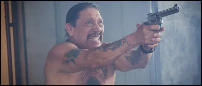 ... est le titre de ce film, réalisé par Andrzej Bartkowiak, avec Trejo dans le rôle de Sanchez.