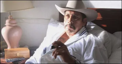 Comment s'appelle cette série créée par Vince Gilligan et dans laquelle Trejo joue Tortuga ?