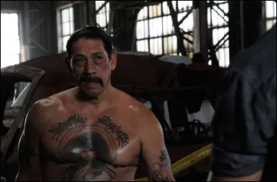 Quel est ce film de Roel Reiné où Trejo joue Goldberg ?