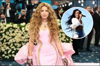 Ton style vestimentaire ressemble plutôt à :