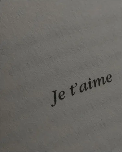 Ta façon de dire "Je t'aime" c'est...