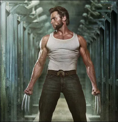 Comment appelait-on les touffes de barbe encadrant les joues, très à la mode au XIXe siècle ?