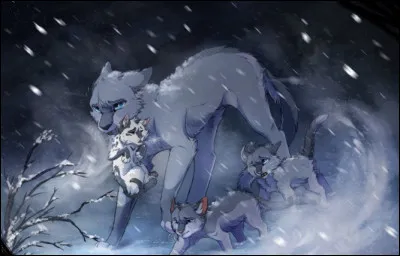 Combien de lieutenants Étoile Bleue en a-t-elle eu ?