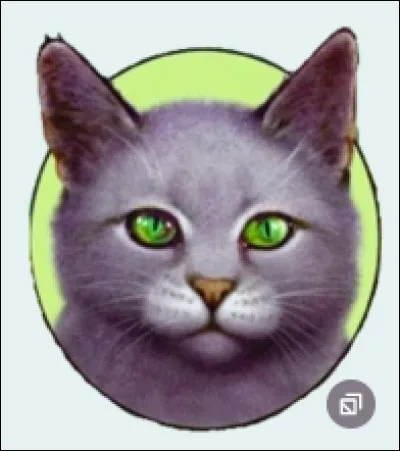 Dernière question...La couleur de ses yeux.