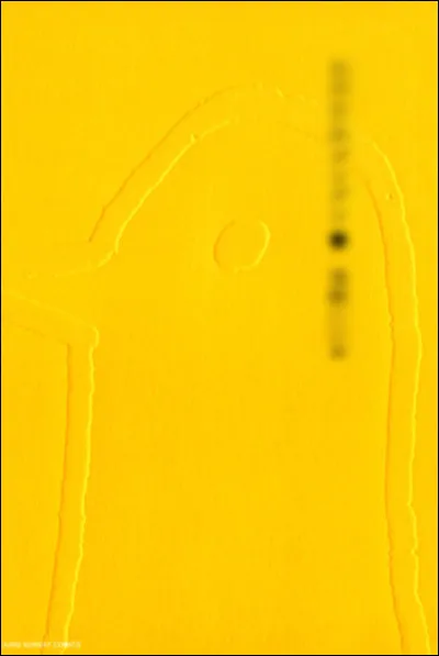 Quel est le titre de ce manga ?