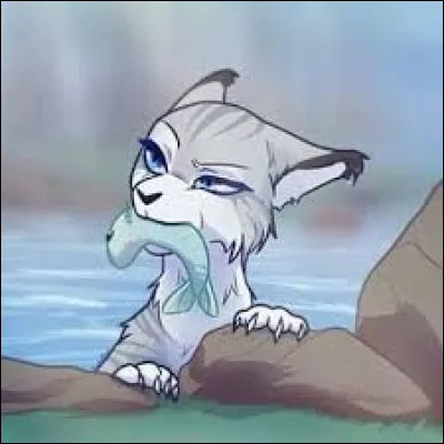 Tome 2 : Un jour, Plume Grise tombe dans la rivière, quelle chatte l'aide et devient sa compagne ?