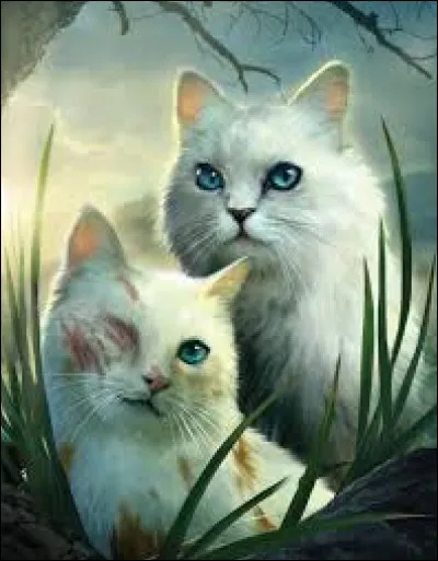 Tome 2 : Plus tard, Princesse donne son premier né à Cur de Feu pour que son Clan l'accueille, comment est-il appelé ?