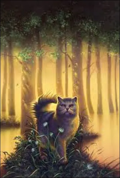 Tome 1 : Quelle chatte anciennement du Clan de l'Ombre a-t-il rencontrée ?