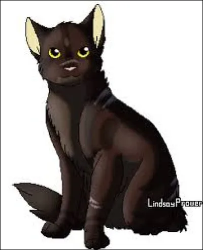 Tome 1 : Qui avait kidnappé les 4 chatons ?