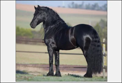 Cite-moi une allure défectueuse :