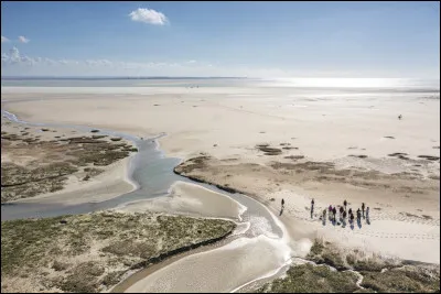 Dans les Hauts-de-France nous trouvons la baie de Somme. Quels animaux y vivent ?