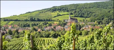 Dans quelle ancienne région du Grand Est peut-on faire la route des vins à travers vignes et villages colorés et fleuris ?