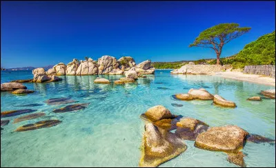 Quelle est la plus grande île de France métropolitaine ?