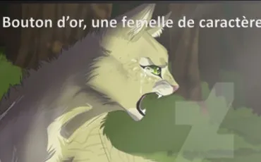 Quiz La guerre des clans