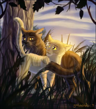 Quel est son nom d'apprentie ?