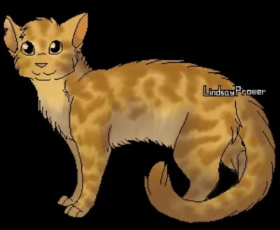 Et son nom de chaton ?