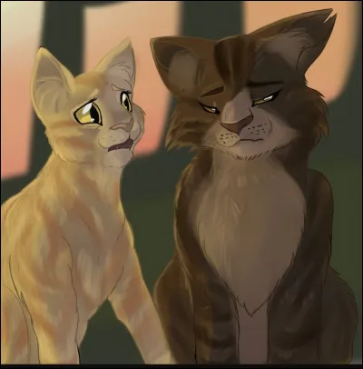 Et qui sont ses chatons ?