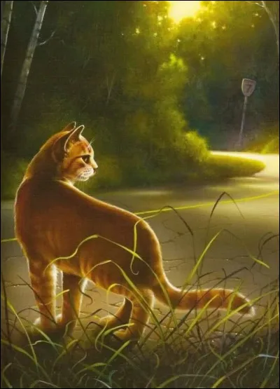 Comment est-il mort ?