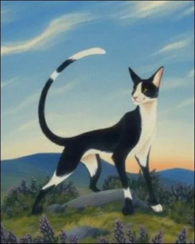 Le premier apprenti d'Étoile Filante est devenu son lieutenant.