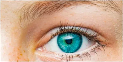 Tes yeux sont...