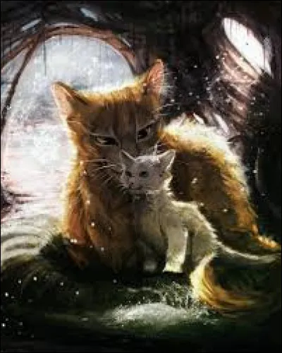 Tome 5 : Quel chat, sourd, s'est fait enlevé par un faucon ?