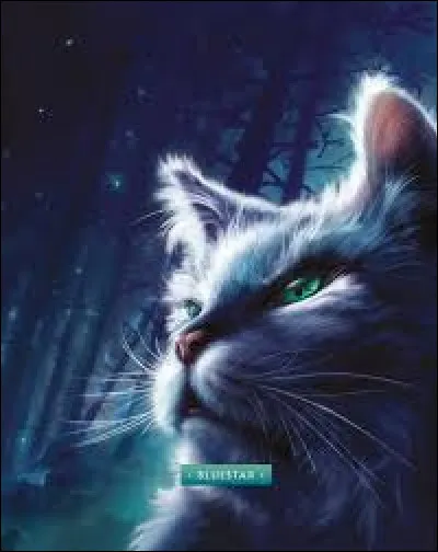 Tome 5 : Pourquoi Étoile Bleue ne veut-elle pas nommer de nouveaux guerriers ?