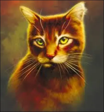 Tome 5 : Je change de sujet : Étoile Balafrée, le chef du Clan de la Rivière, meurt. Qui devient son chef et qui devient lieutenant ?