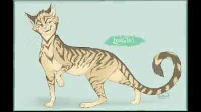 Tome 5 : Qui a découvert Étoile du Tigre en train de nourrir les chiens dans une grotte près des Rochers aux Serpents ?