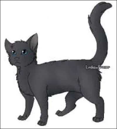 Tome 6 : À qui a-t-il ordonné de tuer Pelage de Silex (la première fois) ?