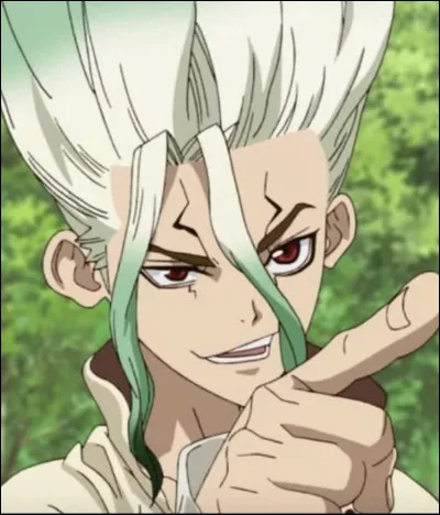 Dans le 1e chapitre de "Docteur Stone", quel âge a Senku ?