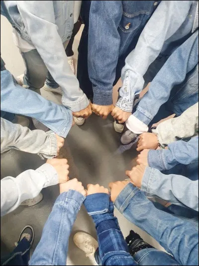 Quel est le nom du fandom des fans de Seventeen ?