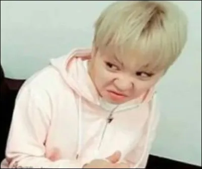 Quel est le surnom de Seungkwan ?