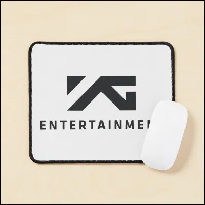 Quel groupe évolue sous YG Entertainment ?
