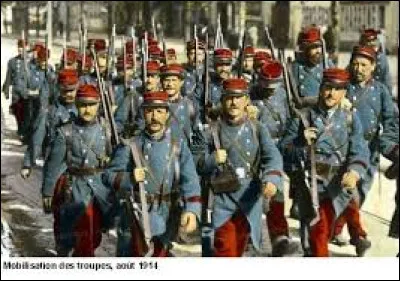 Quel évènement a déclenché la Première Guerre mondiale ?