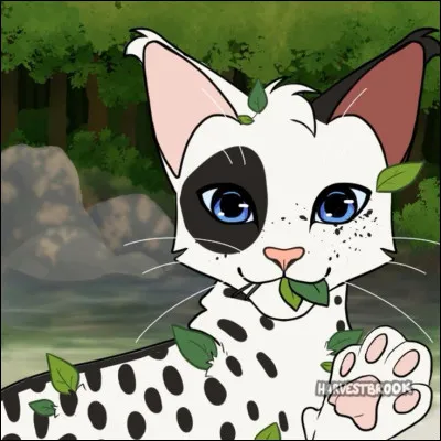 C'est Baie de Ronce qui a soigné Étoile Balafrée lorsqu'il a été défiguré.